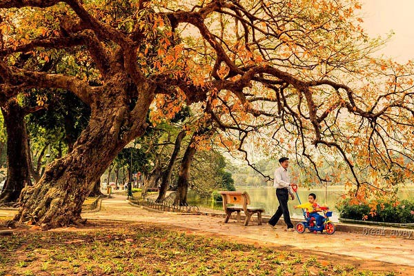 Mùa thu Hà Nội